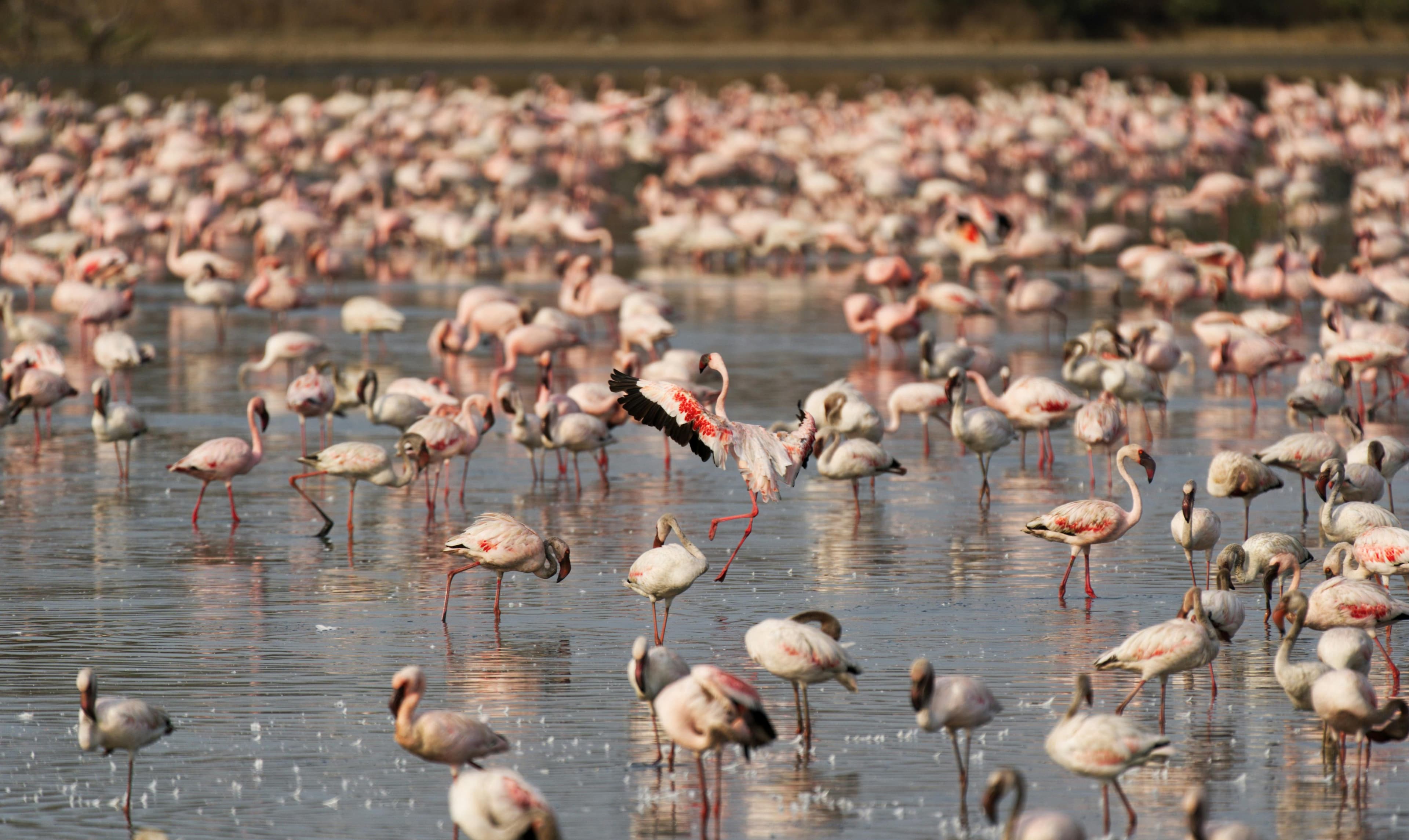 Nakuru